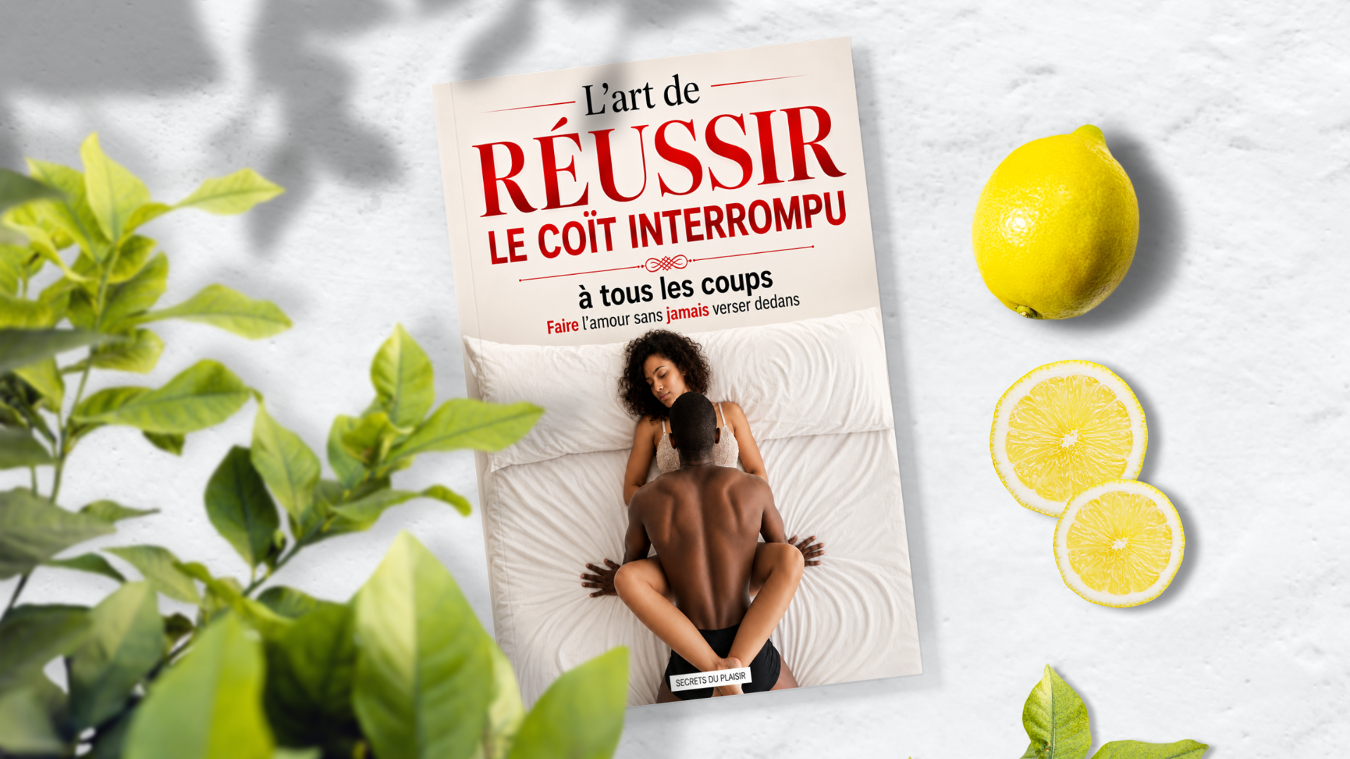 L'art de réussir le coït interrompu à tous les coups : faire l'amour sans jamais verser dedans